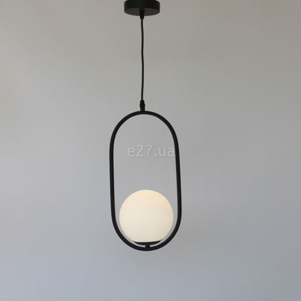 Підвісний світильник Friendlylight FL3023 Hoop A Black