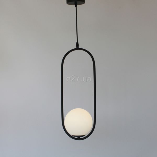 Підвісний світильник Friendlylight FL3025 Hoop B Black