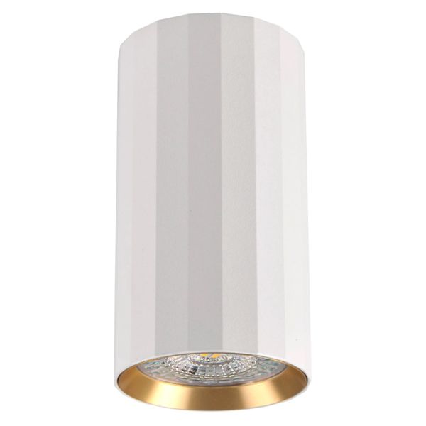 Точечный светильник Goldlux 323460 Nicea