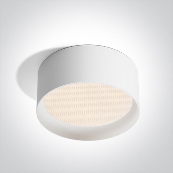 Потолочный светильник One Light 12130D/W/V