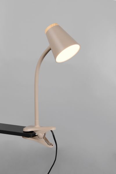 Настольная лампа Reality R25831143 Pongo