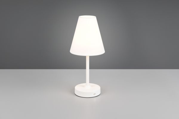 Настольная лампа Reality R53621101 Kenny