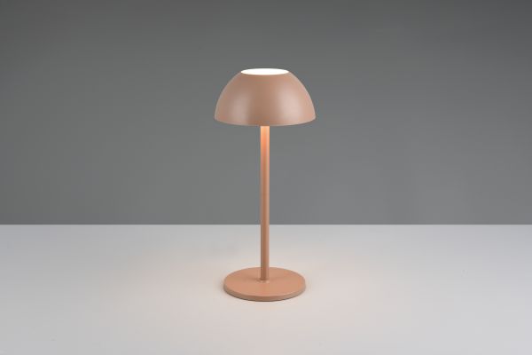 Настольная лампа Reality R54106165 Ricardo