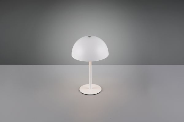 Настольная лампа Reality R54891131 Munoz