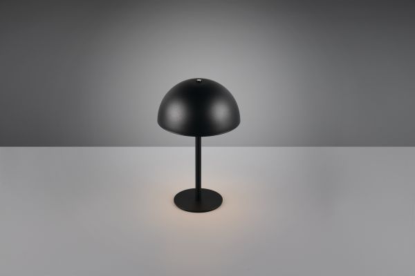 Настольная лампа Reality R54891132 Munoz