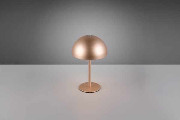 Настольная лампа Reality R54891165 Munoz