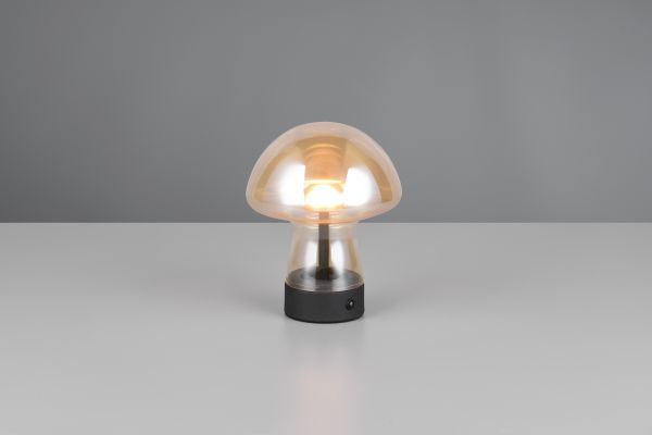 Настольная лампа Reality R54981113 Dooley