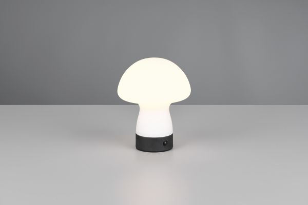 Настольная лампа Reality R54981131 Dooley