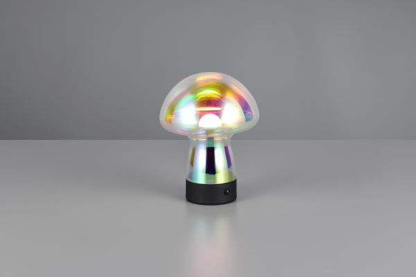 Настольная лампа Reality R54981153 Dooley