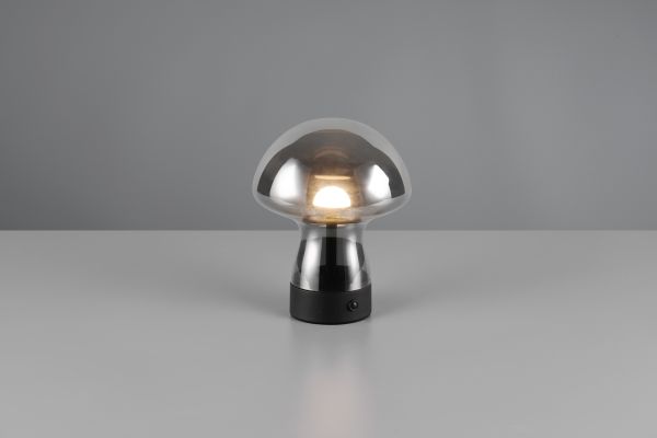 Настольная лампа Reality R54981154 Dooley