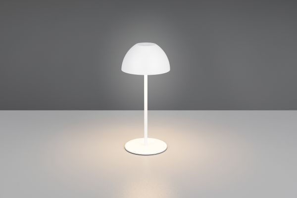 Настольная лампа Reality R55601131 Ortiz