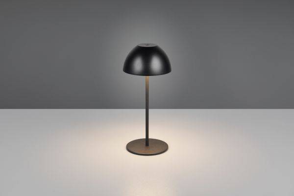 Настольная лампа Reality R55601132 Ortiz