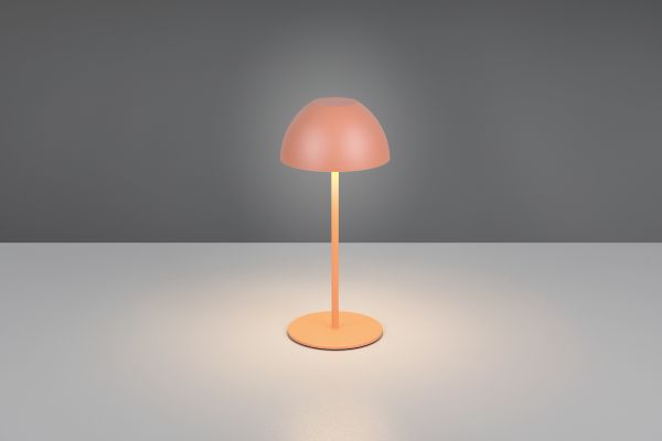 Настольная лампа Reality R55601140 Ortiz