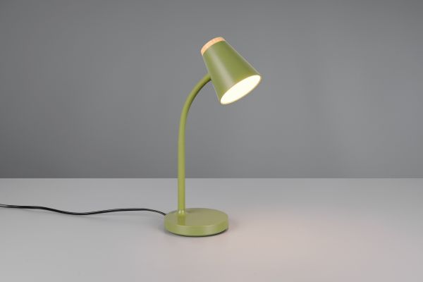 Настільна лампа Reality R55831115 Pongo