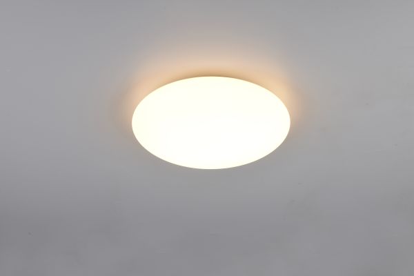 Потолочный светильник Reality R63501101 Viora