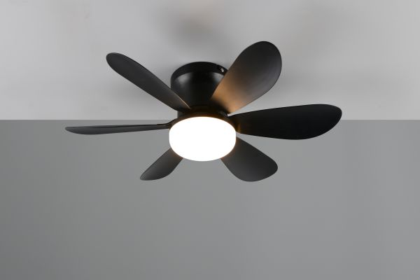 Люстра-вентилятор Reality R67462132 Lund