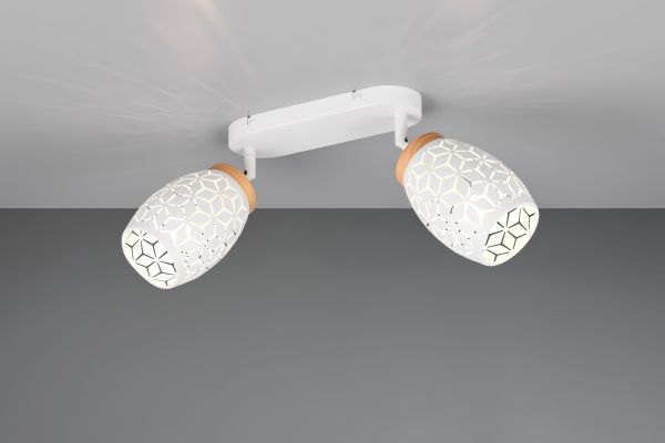 Спот Reality R81572031 Bidar