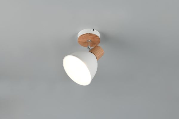 Спот Reality R86671031 Delume