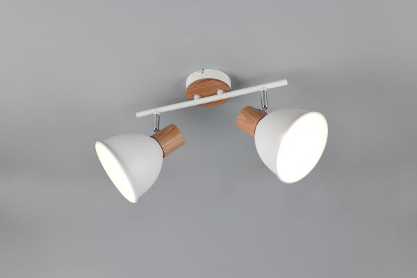 Спот Reality R86672031 Delume