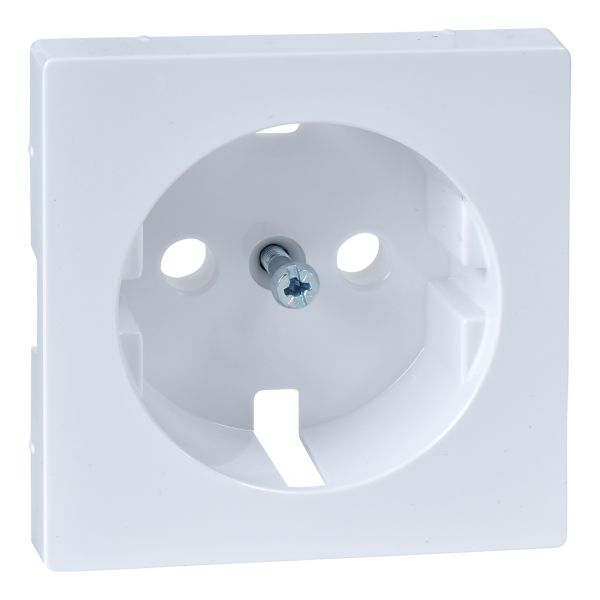 Лицевая панель розетки 220В Schneider Electric 233495 Merten System M