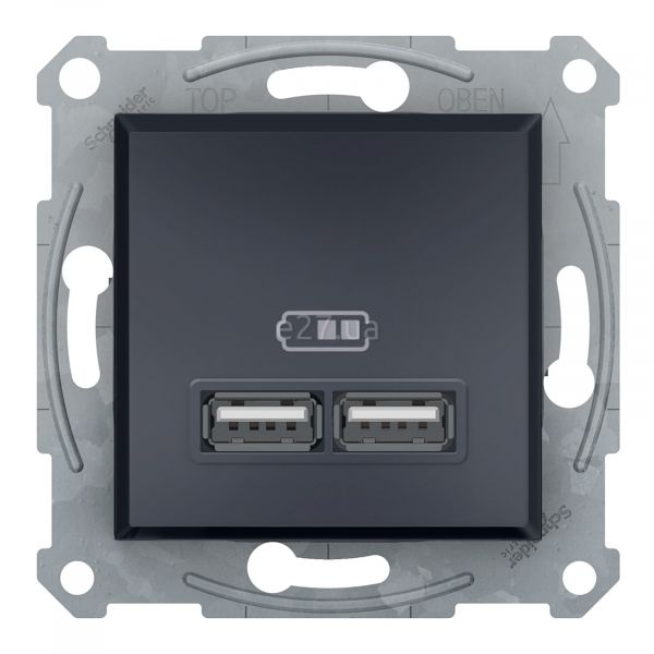 Розетка USB Schneider Electric EPH2700271 Asfora