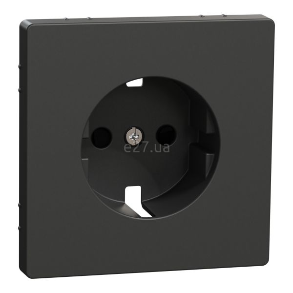 Лицевая панель розетки 220В Schneider Electric MEG2330-6034 Merten System D