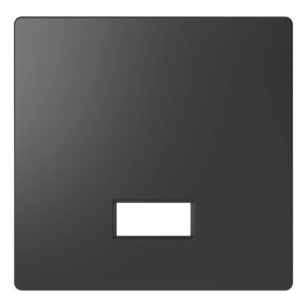 Лицевая панель с полем для надписи Schneider Electric MEG3350-6034 Merten System D