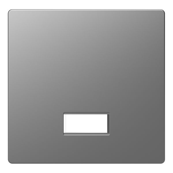 Лицевая панель с полем для надписи Schneider Electric MEG3350-6036 Merten System D