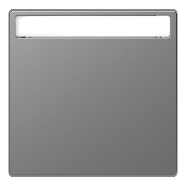 Лицевая панель с полем для надписи Schneider Electric MEG3360-6036 Merten System D