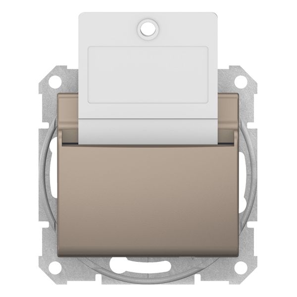 Вимикач картковий Schneider Electric SDN1900168 Sedna
