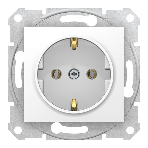 Розетка 220В Schneider Electric SDN3001821 Sedna