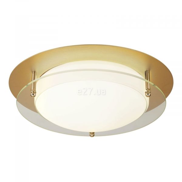 Стельовий світильник Searchlight 6830-38GO Bathroom Flush