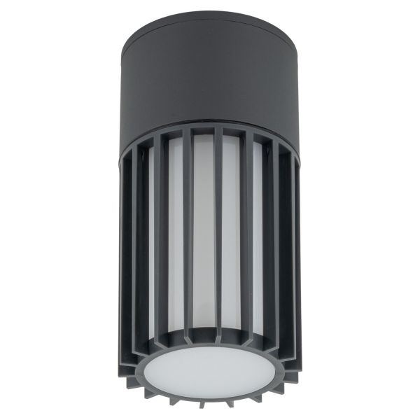 Точковий світильник TK Lighting 11508 Ribo Gray