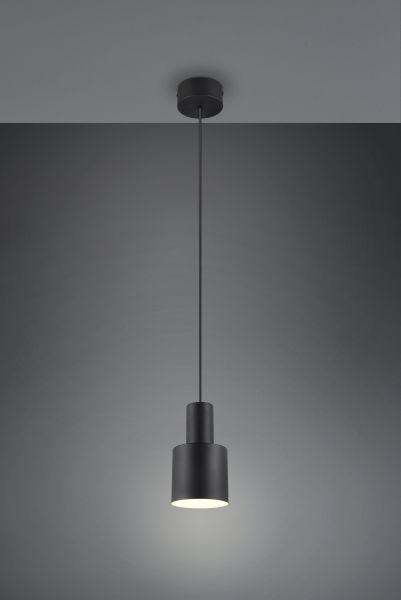 Подвесной светильник Trio 319400132 Agudo