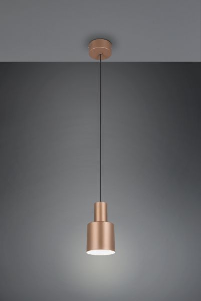 Підвісний світильник Trio 319400165 Agudo