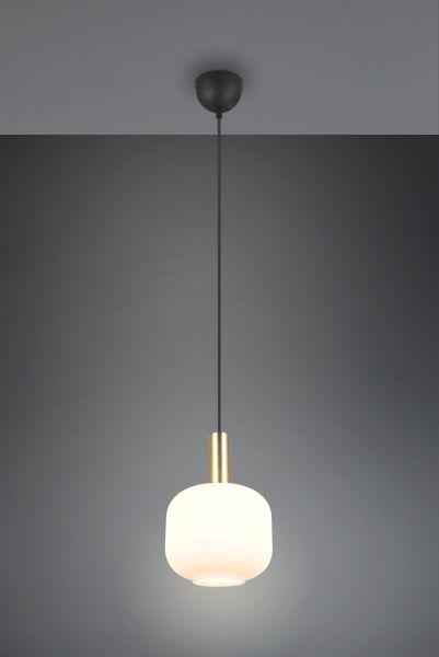 Підвісний світильник Trio 319800108 Diva