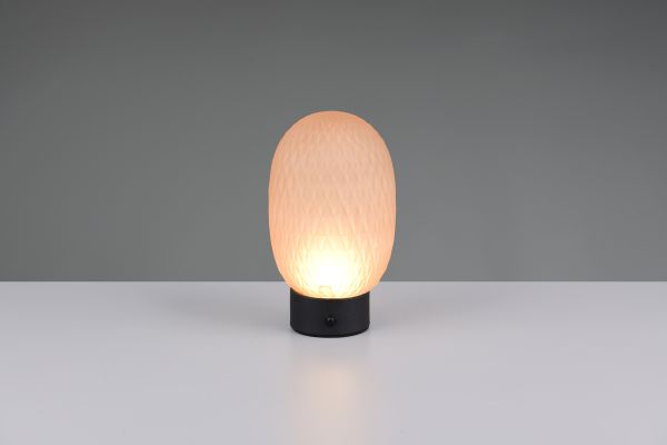 Настольная лампа Trio 564210113 Facette