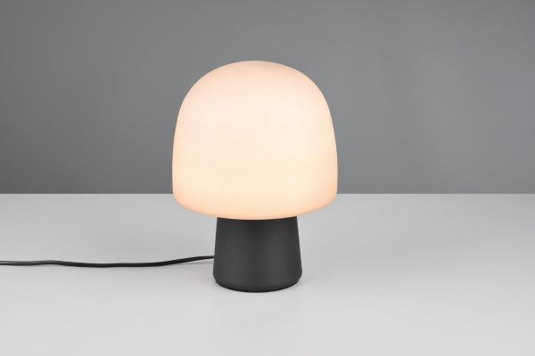 Настольная лампа Trio 568200132 Steen