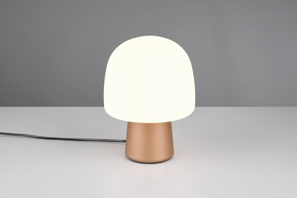 Настольная лампа Trio 568200165 Steen