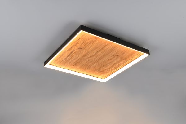 Люстра Trio 655510130 Kalea